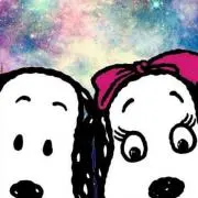 でこぽん