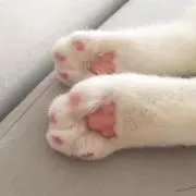 ゆぴの画像