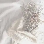 まろんの画像