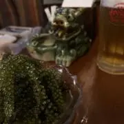 ぽんの画像
