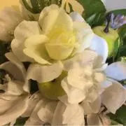 あすかの画像