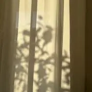 nanaの画像