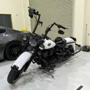 sjs