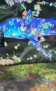しおあお10　✽断捨離中✽の画像