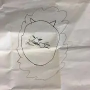 misa
