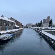 早川雄斗の画像