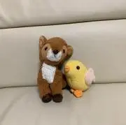moyuriの画像