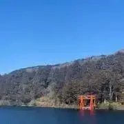 【オ-クション中】ももの画像