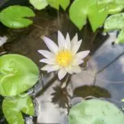 ma☆発送方法変更ありの画像