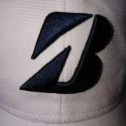 Bichio