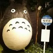 ももぽんの画像