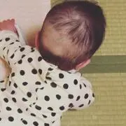 のんこの画像