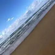 GG Anの画像