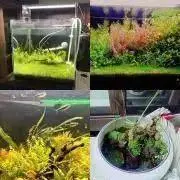 緑のあるインテリアの画像