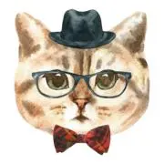 にゃんこ【即購入可】の画像
