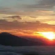 らびっとの画像
