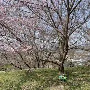 光差す深海の画像