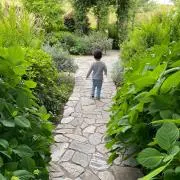 chiiの画像