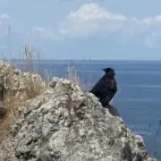 おその画像