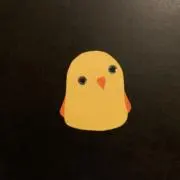 Pの画像