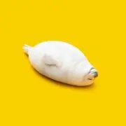 あさくら