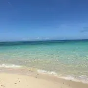 yoookの画像