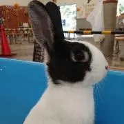 はるころ