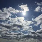 dioの画像