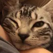 わお