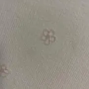 ねこねこねの画像