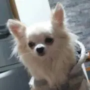 コロンママ(*^▽^)/