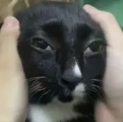 マッカ