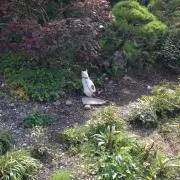 アサト.@断捨離強化の画像