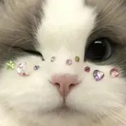 みみみの画像
