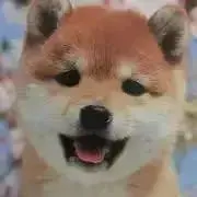 こころ♡の画像