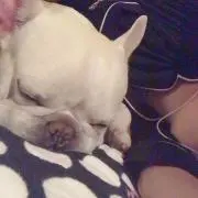 ちょる