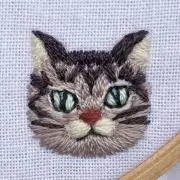 ぽこ太の画像
