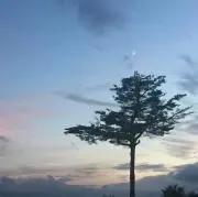 るこちゃん