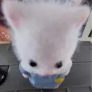 ＾＾の画像
