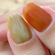 ぽんの画像