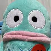 まるの画像