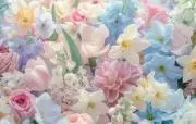♡choko♡の画像
