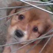 かぷちーの（プロフ必読）の画像