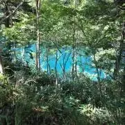 yamaの画像