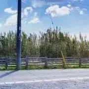 砂糖の画像