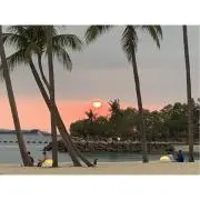 ミアの画像