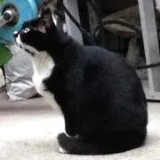 ゆん ※プロフ必読