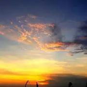 haruの画像