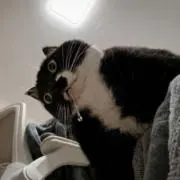 りりり