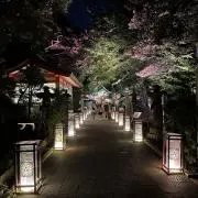 minetteの画像